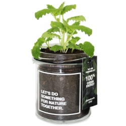 Natura w Szkle — zestaw do uprawy / Grow kit w szkle z podłożem naturalnym